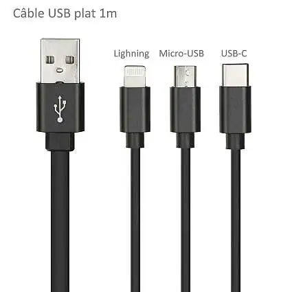Présentation Câble USB vers USB-C + Micro-USB + Lightning Plat 1m Noir